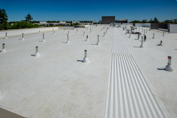 Best Skylight Installation and Repair  in Fortville, IN